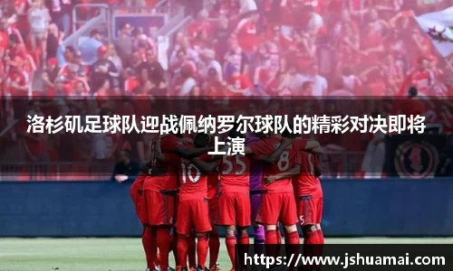bsports官网入口