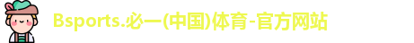 B体育官网